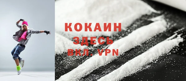 шишки Верея