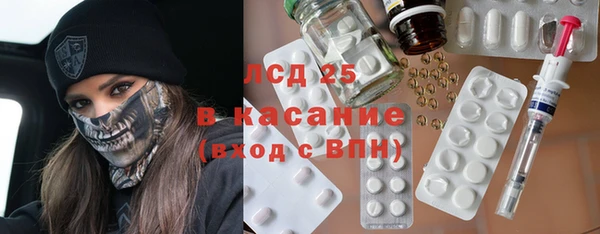 шишки Верея