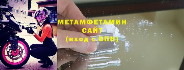 шишки Верея