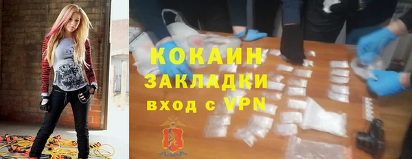 шишки Верея