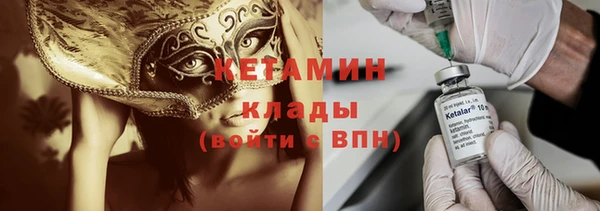 шишки Верея
