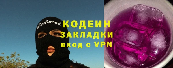 шишки Верея