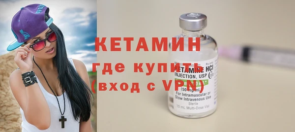 шишки Верея