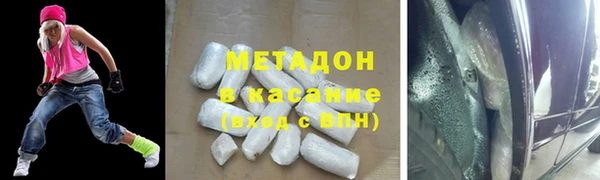 шишки Верея