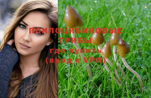 молекула духа Верхнеуральск
