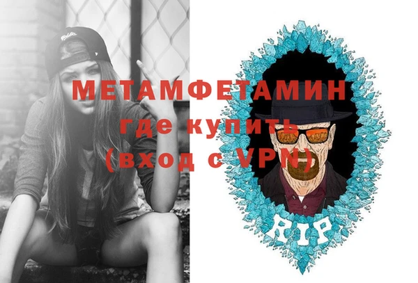 шишки Верея