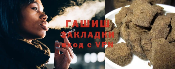крисы Бородино