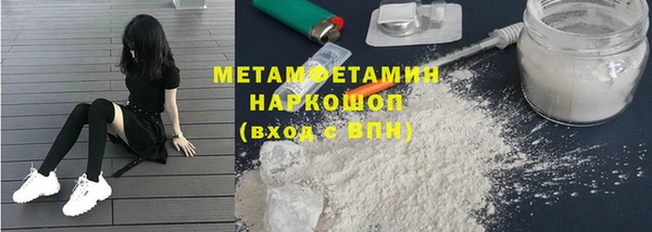 шишки Верея