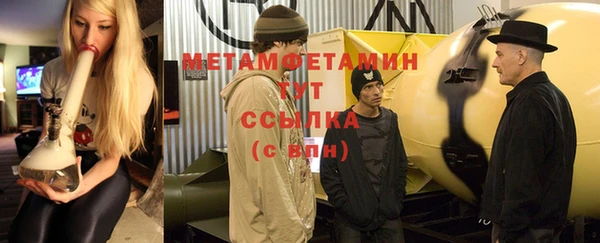 крисы Бородино